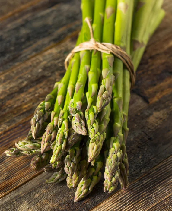 Asparagus, Fresh