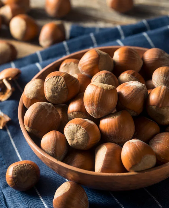 Nuts, Hazelnuts