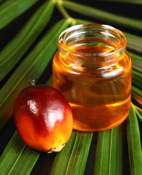 Oil, Palm Fruit  