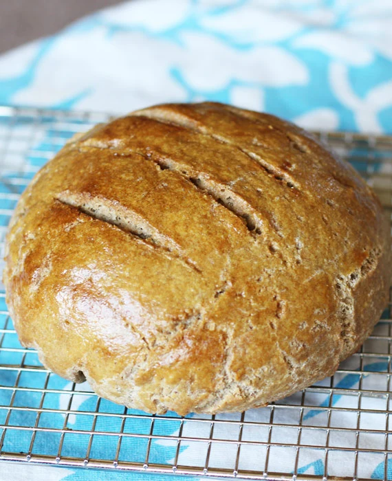 Paleo Rye Bread