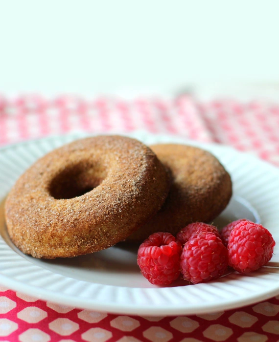Low Carb Churro Donuts